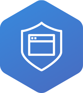 Icon Secure, Custom Data Delivery