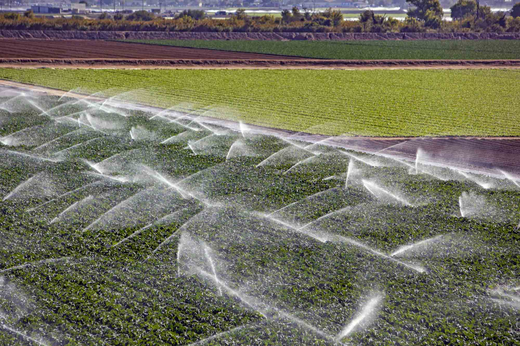 OpenET 2021 - Salinas Valley