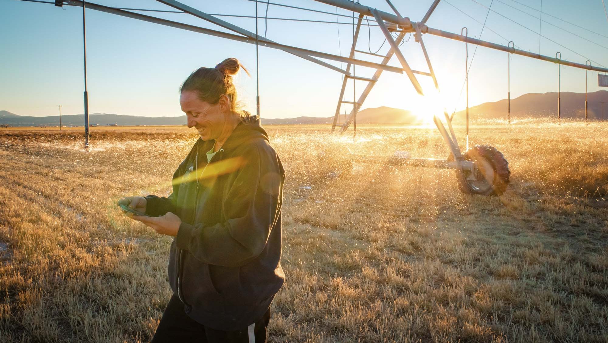Denise Moyle on Nevada Farm 2018