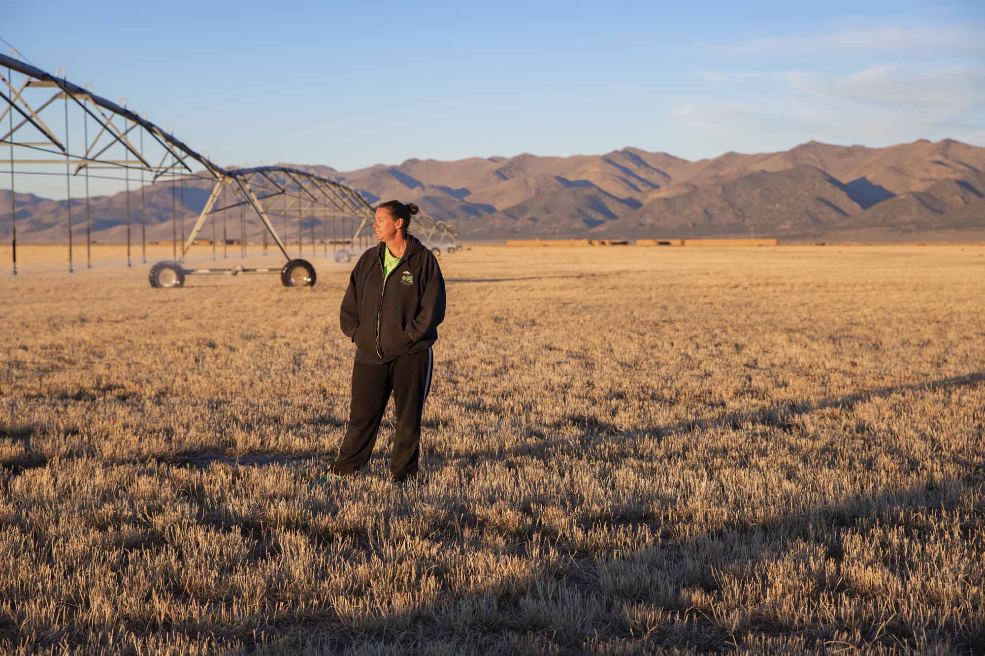 Denise Moyle on Nevada Farm 2018