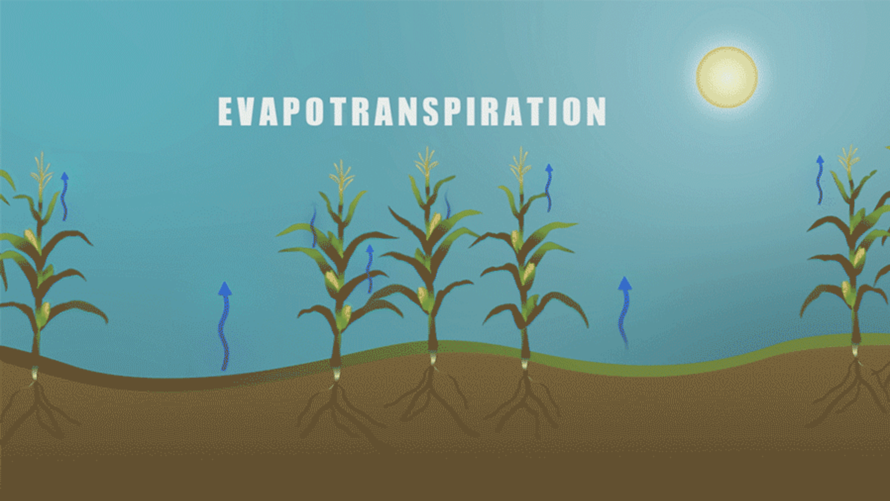evapotranspiration-animation